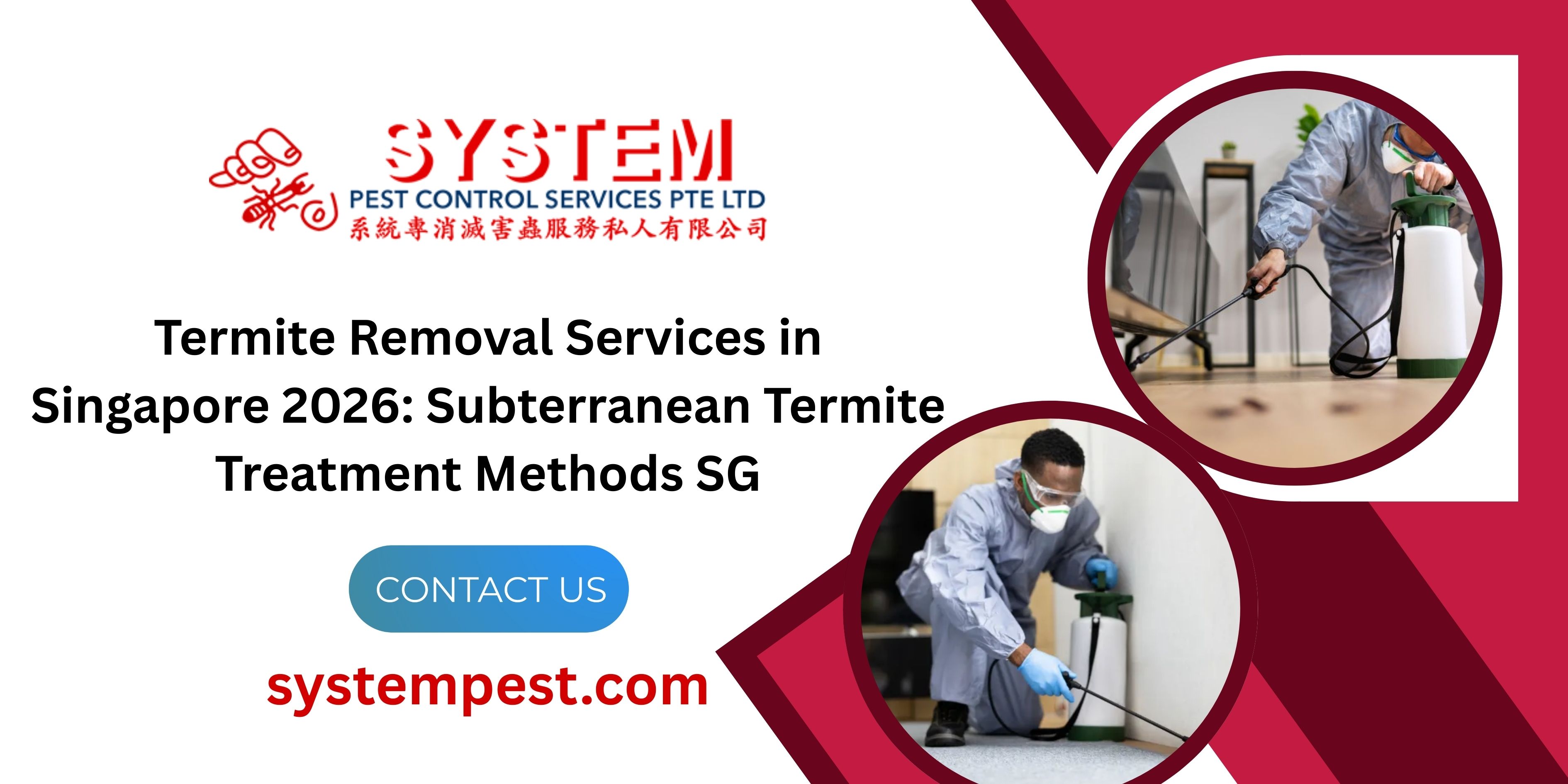 Termite Removal Services in Singapore 2026: Subterranean Termite Treatment Methods SG